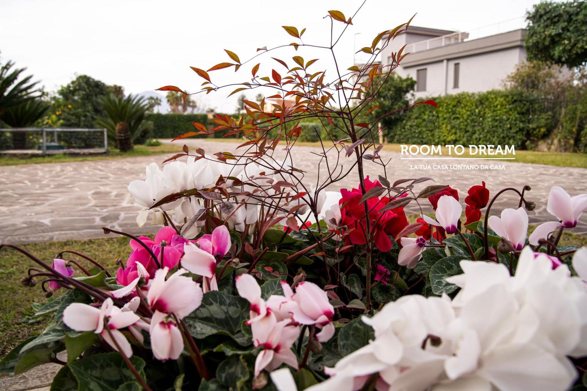 Room To Dream San Valentino Torio Exterior foto